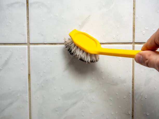 Best Mold Removal and Inspection  in Watsonville, CA