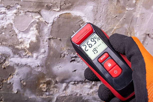 Best Professional Mold Removal  in Watsonville, CA