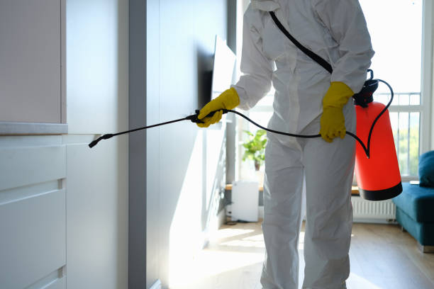 Best Mold Removal Specialists  in Watsonville, CA