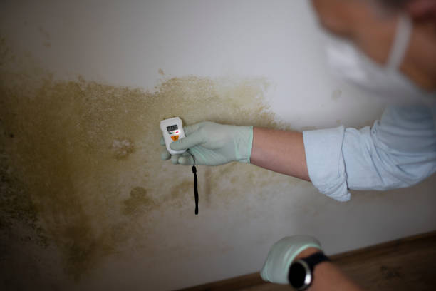 Best Mold Testing  in Watsonville, CA