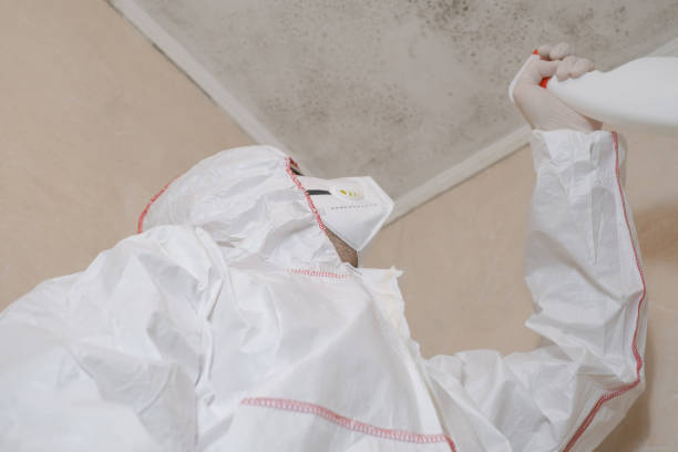 Best Mold Cleaning Services  in Watsonville, CA