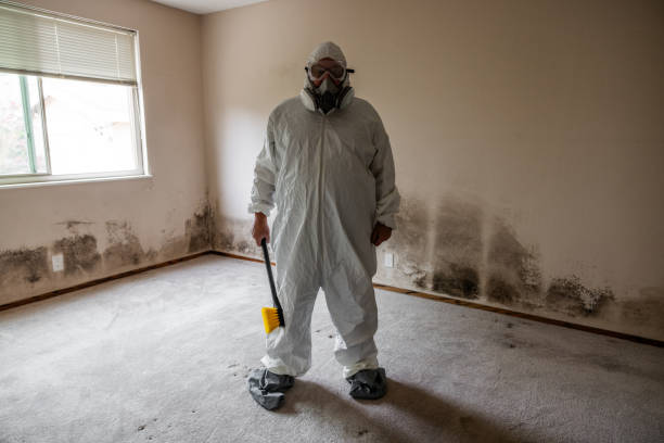 Best Office Mold Removal Services  in Watsonville, CA
