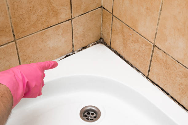 Best Mold Testing  in Watsonville, CA